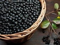 Вино из рябины в домашних условиях -5 простых рецептов с пошаговыми фото