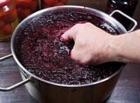 Вино из рябины в домашних условиях -5 простых рецептов с пошаговыми фото
