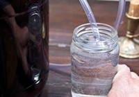 Вино из рябины в домашних условиях -5 простых рецептов с пошаговыми фото