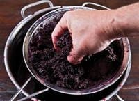 Вино из рябины в домашних условиях -5 простых рецептов с пошаговыми фото