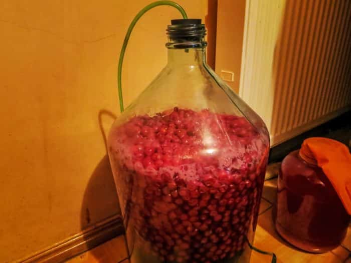 чача