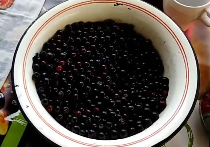 компот из черноплодной рябины