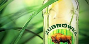 Домашняя зубровка при лунном свете - 4 рецепта с пошаговым приготовлением